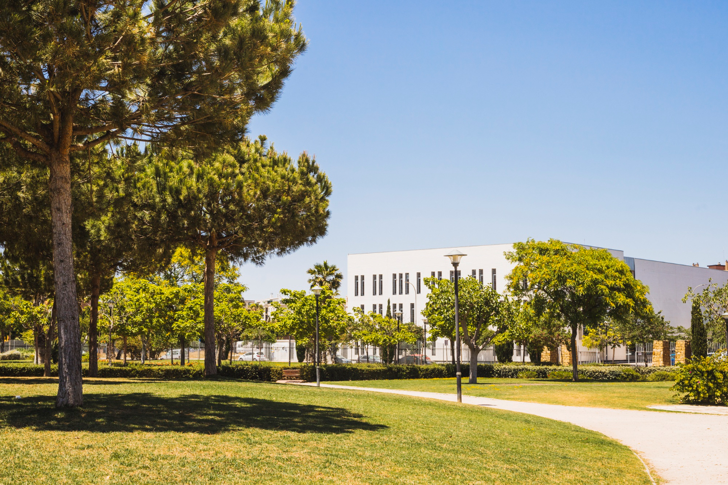 Université Artois