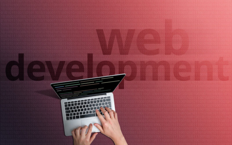 Comment travailler en tant que développeur web ?
