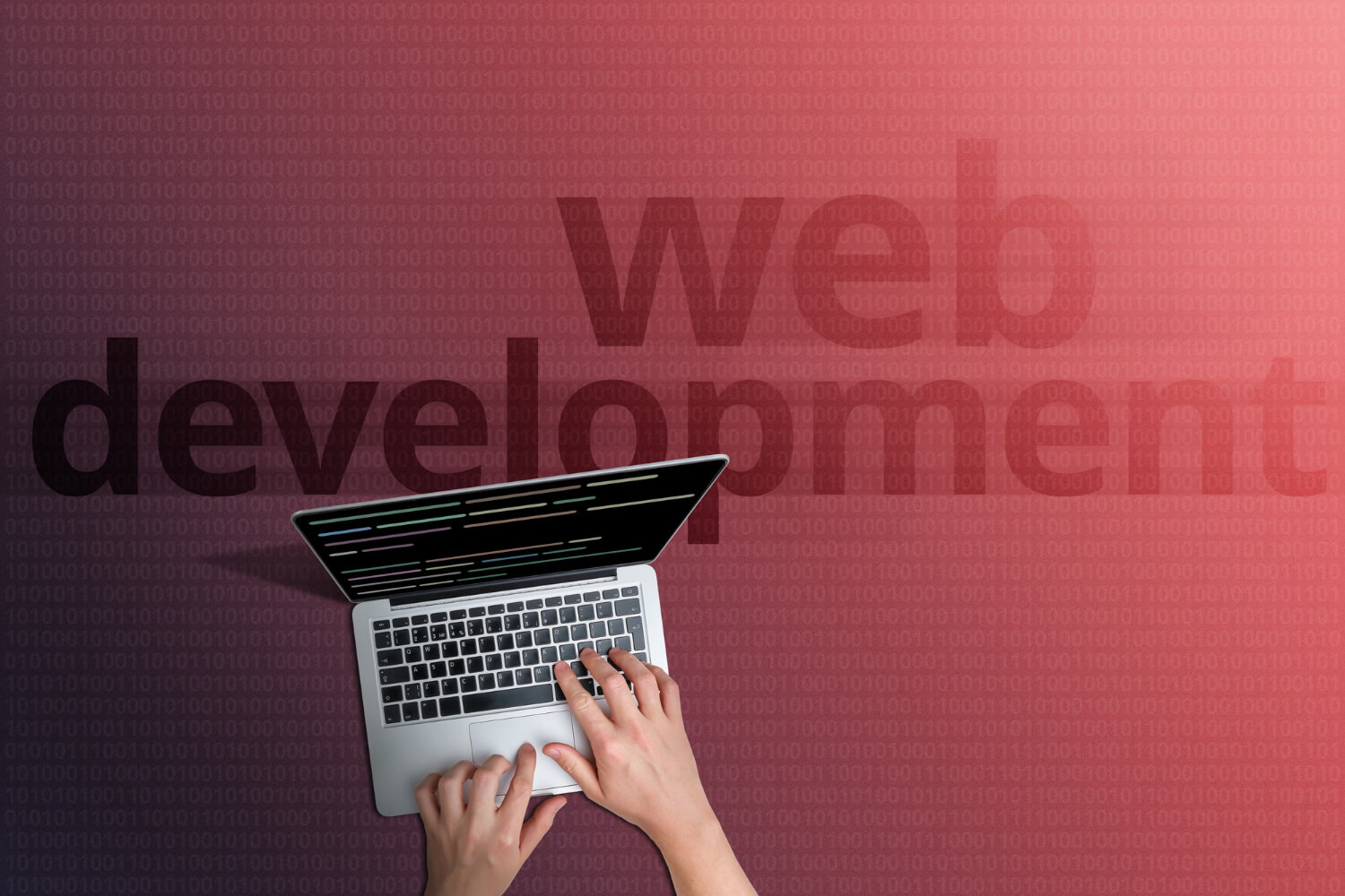 Comment travailler en tant que développeur web ?