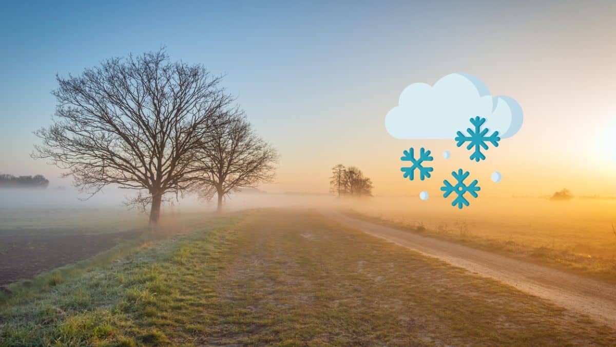 Prenez garde, le brouillard givrant va s’installer en France, les règles à respecter selon la Sécurité routière