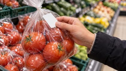 Sachet de tomates rondes concernées par un rappel pour dépassement des limites de pesticides
